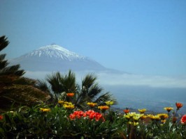 Traumhafte Ferienimmobilien auf Teneriffa